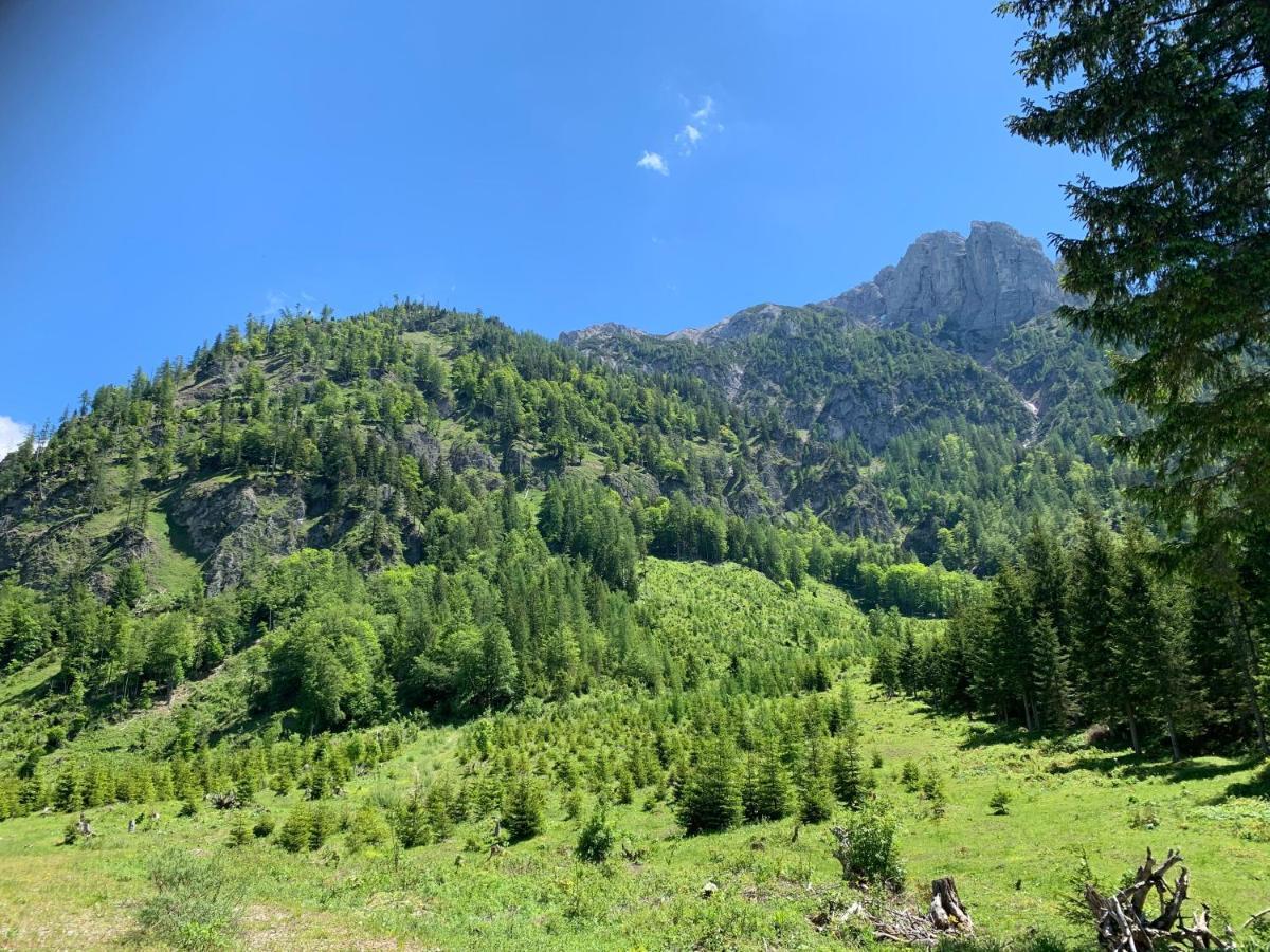Apartment Kumitzblick Obersdorf 외부 사진